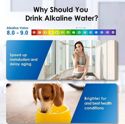 Alkaline Mineral Filter Water Bottle